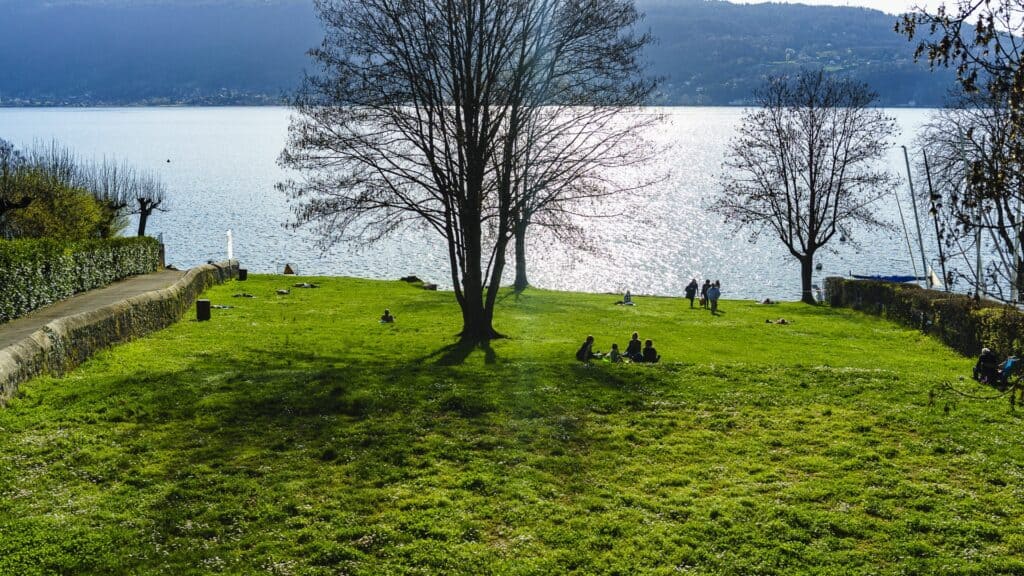 The grassy area at Plage du Plant, Veyrier-du-Lac