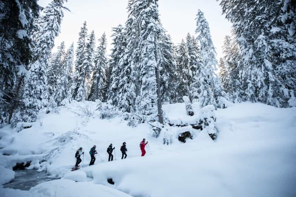 Un groupe de cinq randonneurs dans la forêt enneigée