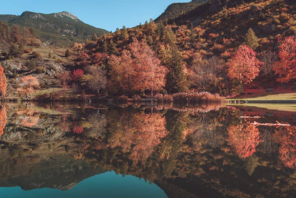 Bright amber trees reflect into a clear lake