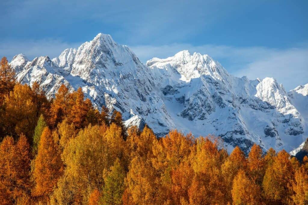 Red and gold autumn trees against snowy mountains and a blue sky