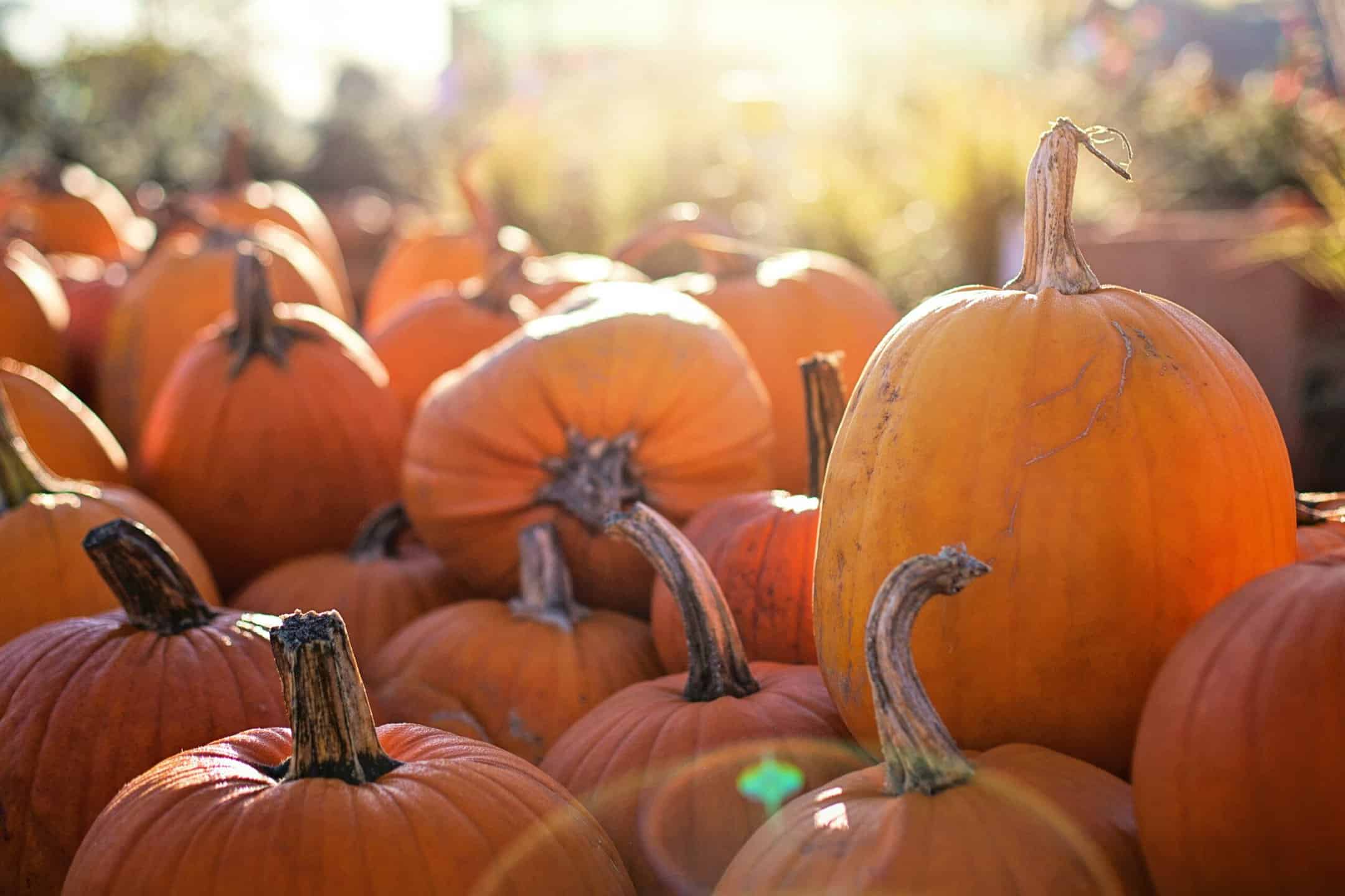 A pile of pumpkins on a table