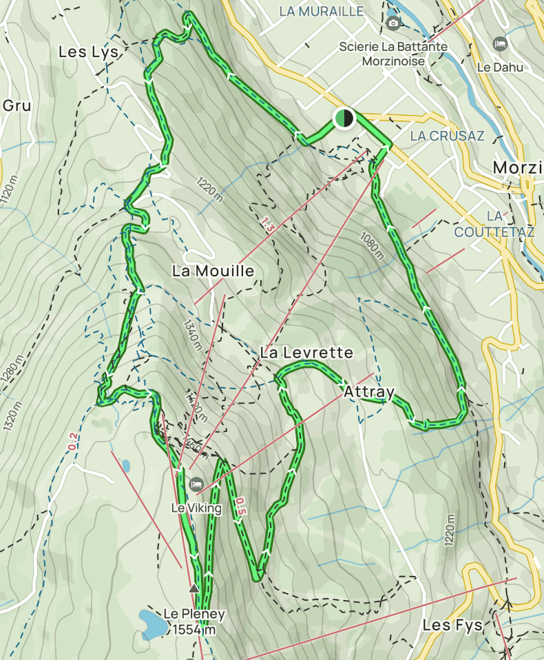 Tracé sur carte de la promenade de Morzine jusqu'au Pleney, un incontournable des randonnées de printemps.