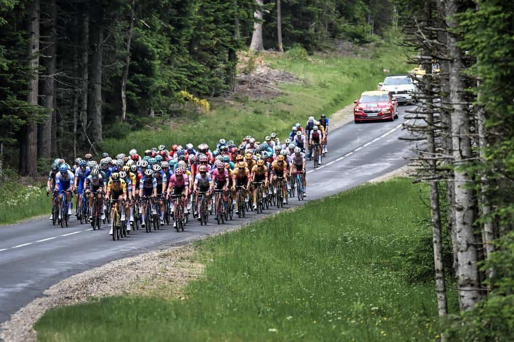 Peloton descendant une route de montagne bordée de pins.